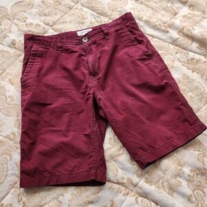 Calvin Klein Sz 31 Wine Merlot Purple Shorts